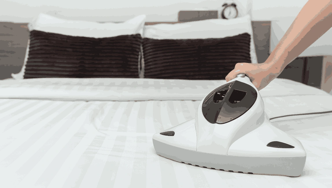Professional Mattress Cleaning Boronia
